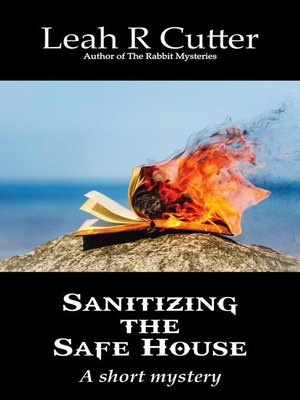 cover image of Sanitizing the Safe House
